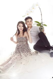 弦子爆料最新消息,娱乐圈最新动态大揭秘！